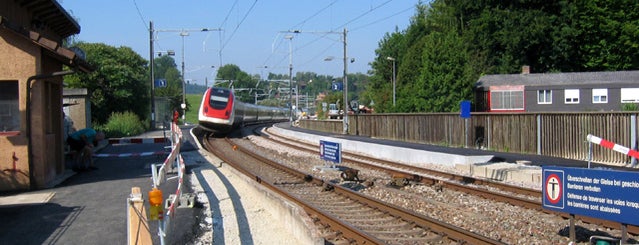 Bahnhof Schottikon is one of ZVV S35: Winterthur <=> Wil SG (Thurbo).