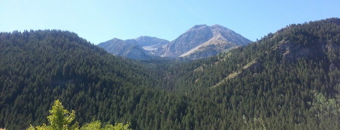 Uinta National Forest is one of National Recreation Areas.