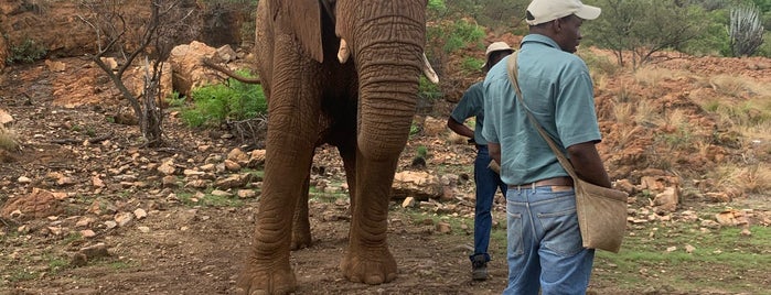 The Elephant Sanctuary is one of Lugares favoritos de Lene.e.