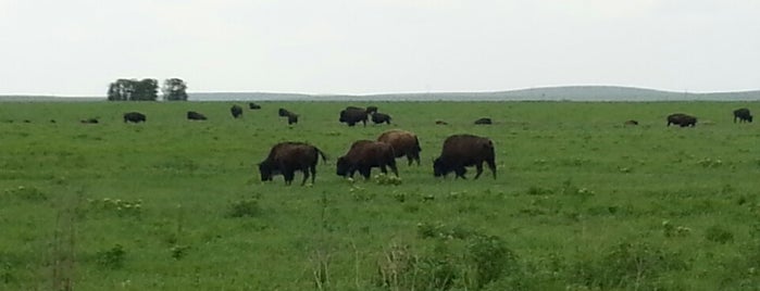 Tallgrass Prairie Preserve is one of Kimmie's Saved Places.