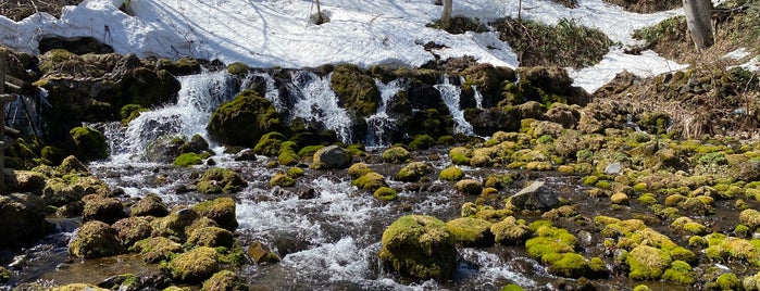 ふきだし公園 is one of 名水百選.