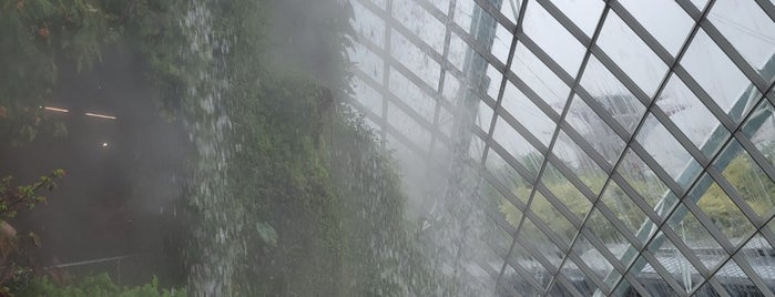 Waterfall View is one of (2018) Singapore.