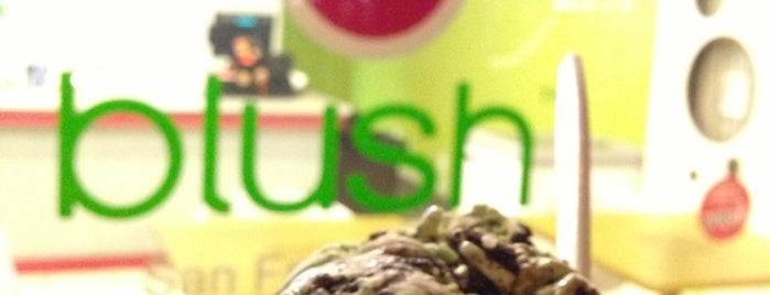 Blush Organic Frozen Yogurt is one of 2011 in SF.