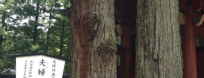 Nikko Futarasan-Jinja is one of 栃木.