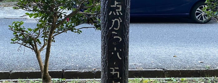 菊田遊歩道 is one of 習志野ハミングロード.