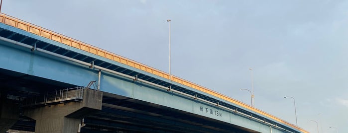 海老川大橋 is one of 渡った橋（東日本）.