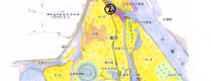 盤洲干潟 盤洲干潟