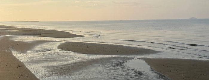 幕張の浜 (浜田川-習志野市境) is one of 幕張 周辺 史跡・寺社・景色・スポット.