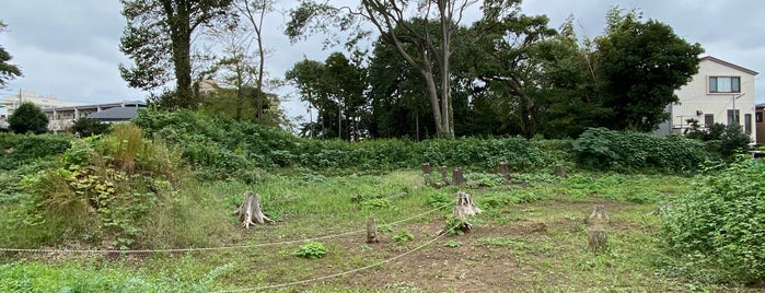 下総小金中野牧跡 (捕込) is one of 下総小金印西佐倉牧関連史跡.