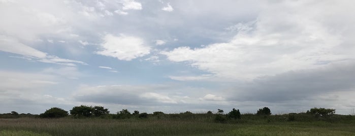 盤洲干潟 盤洲干潟