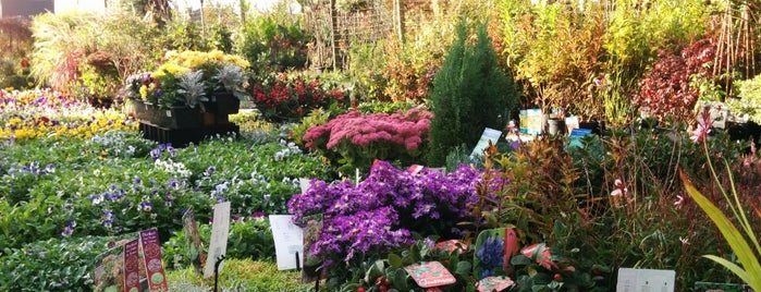 Floralies Garden & Deco is one of Posti che sono piaciuti a Stephraaa.