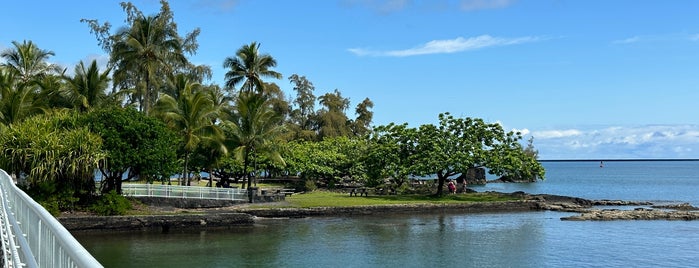 Coconut Island Park is one of Big Island.