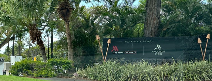 Waikoloa Beach Marriott Resort & Spa is one of สถานที่ที่ Derek ถูกใจ.