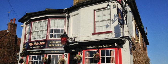 The Red Lion is one of Wheelchair accessible pubs/restaurants.