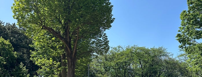 北習志野近隣公園 is one of お気に入り＊.
