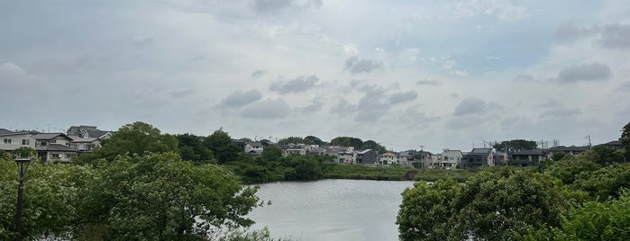 坪井近隣公園 is one of VisitSpot L+ Ver13.