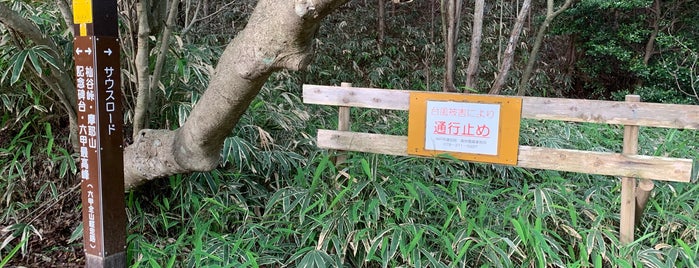 サウスロード付近 is one of 三菱電機六甲全山縦走大会.