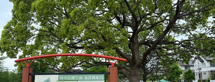 坪井近隣公園 is one of VisitSpot L+ Ver13.
