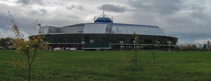 Бобруйск-Арена is one of Избранное.