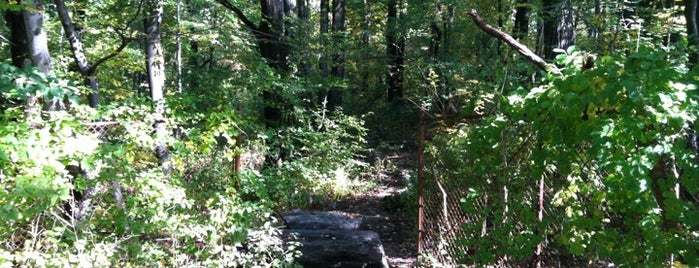 Mysterious Trail into Woods is one of Kimmie'nin Beğendiği Mekanlar.