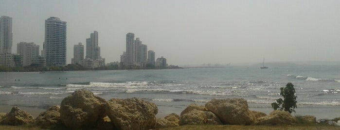 Playa @Hilton Cartagena is one of Lugares favoritos de Enrique.