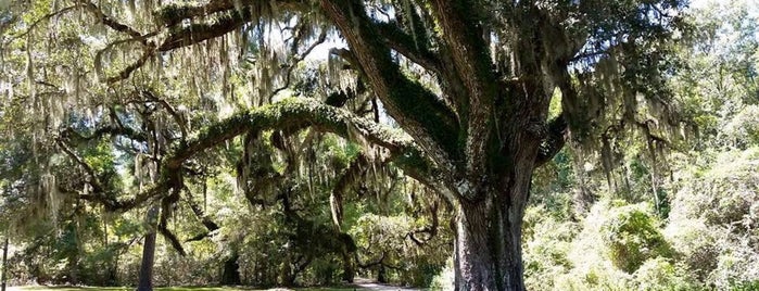 Blakeley State Park is one of Things To Do & Places To See -- Gulf Coast.