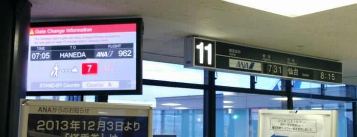 大阪国際空港 伊丹空港 搭乗口 Itm Gate