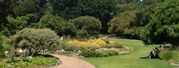 Kirstenbosch Botanical Gardens is one of Go Ahead, Be A Tourist.