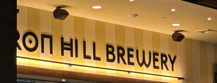 Iron Hill Brewery & Restaurant is one of Breweries.