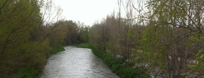 Parque Lineal del Manzanares is one of Lieux qui ont plu à Santiago.