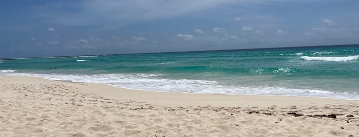 Worthing Beach is one of Barbados.