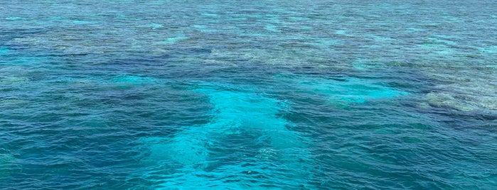 Agincourt Reef is one of Australia trip.