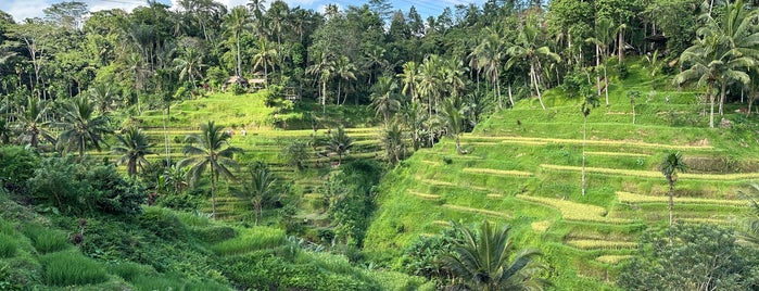 Tegallalang Rice Terrace is one of Bali ubud.