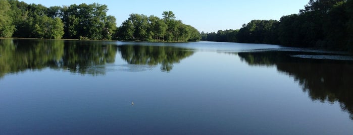 Smithville Lake is one of The Great Outdoors.