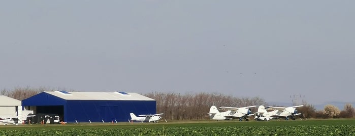 Aerodromul Ilfoveni is one of Romanian Airfields.