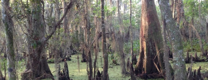 Jean Laffitte National Historical Park & Preserve is one of Capt. John’s Liked Places.
