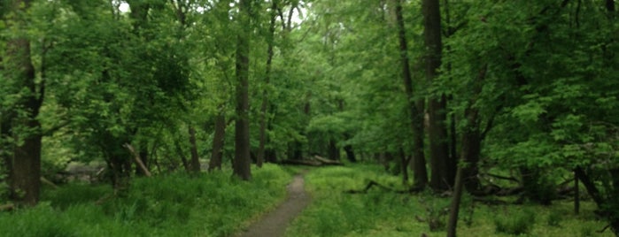 La Bagh Woods (Cook County Forest Preserve) is one of Hiking in Northeast Illinois.