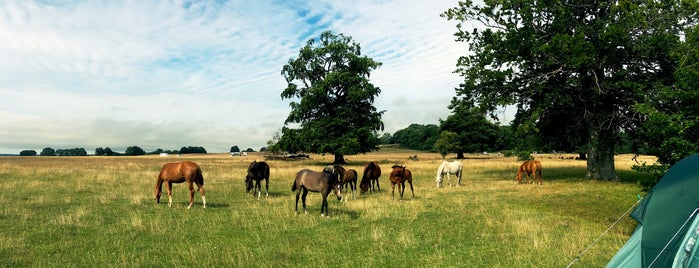 Haväng is one of Skåne.