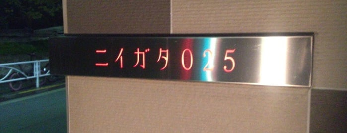 ニイガタ025 is one of Nakameguro.