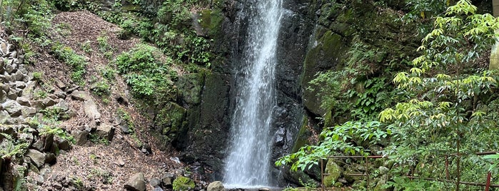 Fudo-taki Falls is one of 小田原箱根.