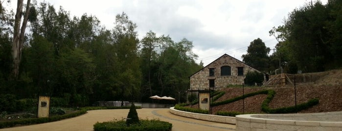 Buena Vista Carneros Winery is one of Tempat yang Disukai Andrew.