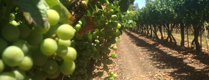 St. Anne's Crossing Tasting Room is one of Orte, die H gefallen.