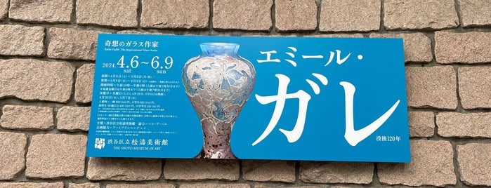 Shoto Museum of Art is one of 東京.