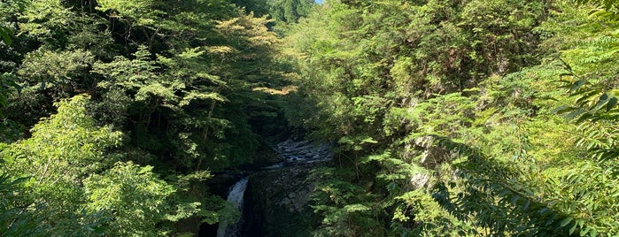 高野大滝 is one of 高野山、伯母子岳、釈迦ヶ岳.