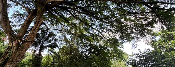 Bukit Brown Municipal Cemetery is one of Intrepidity.