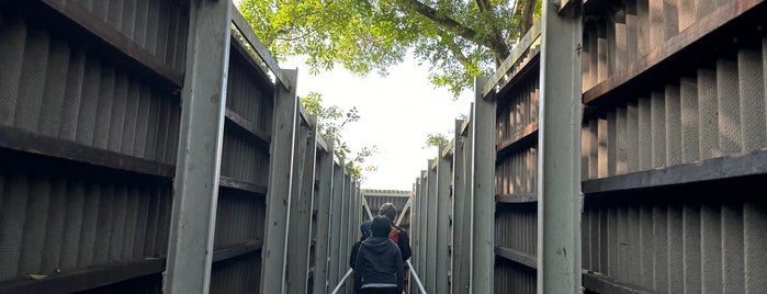 Mai Po Nature Reserve is one of Hong Kong Museums.