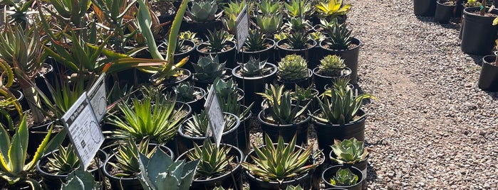The Dry Garden Nursery is one of The Bay.