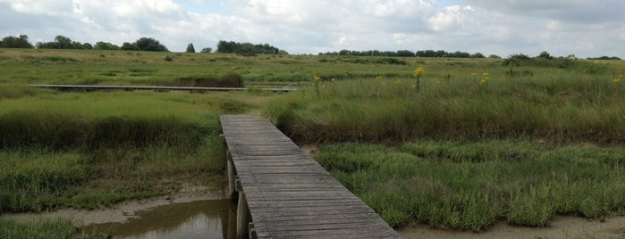 Zwarte Polder is one of Lugares favoritos de Vincent.