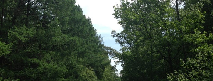 дом п-49д панельный. ясенева 4. ясенева 4. москва чертаново россошанский проезд дом 4. ясеневая, дом 10.