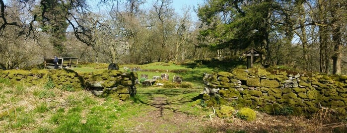 Inchcailloch Burial Ground is one of GlasgowDunzo2017.